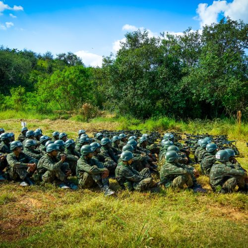 Fotografados com olhar profissional.